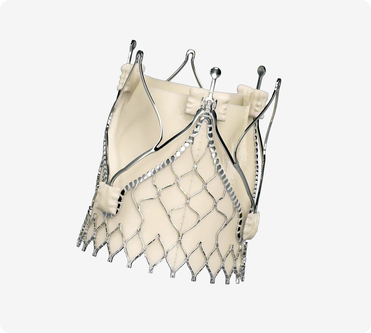 The Trilogy Transcatheter Heart Valve